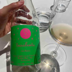 Insolente Vini - Luca Elettri - Vino Frizzante