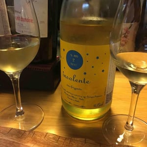 Insolente Vini - Luca Elettri - Vino Frizzante
