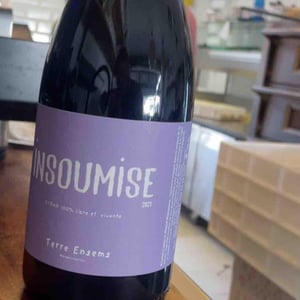 Insoumise - Terre Ensems - krystel-costes-michel-bouisseren