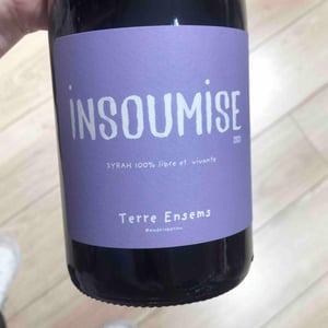 Insoumise - Terre Ensems - Krystel Costes & Michel Bouisseren 