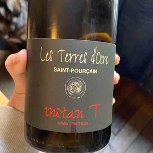 instan T - Saint-Pourçain - les-terres-docre