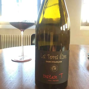 instan T - Saint-Pourçain - les-terres-docre
