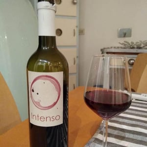 Intenso - Tenuta Baroni Campanino - Andrea Caracciolo 