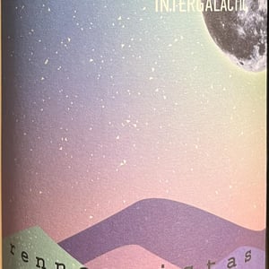 Intergalactic - Rennersistas - stefanie-georg-renner -2024