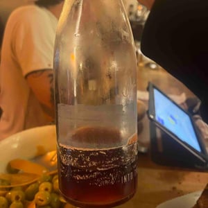 Into The Wine - Justine Vigne - Justine Vigne 