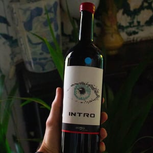 Intro - Vintopia - clemente-enrique-ortiz-martinez