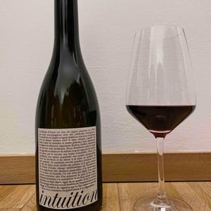 Intuition - Domaine Colin - Pierre François Colin & Patrice Colin 