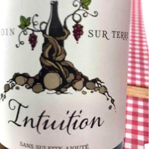 Intuition - Un Coin Sur Terre - edouard-sentex