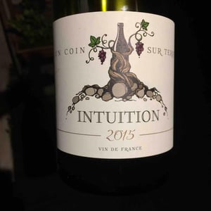 Un Coin Sur Terre - Edouard Sentex - Intuition