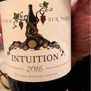 Intuition - Un Coin Sur Terre - edouard-sentex