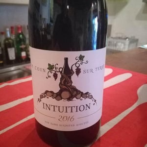 Un Coin Sur Terre - Edouard Sentex - Intuition