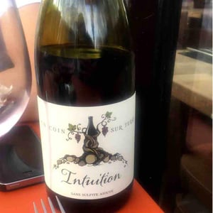 Intuition - Un Coin Sur Terre - edouard-sentex