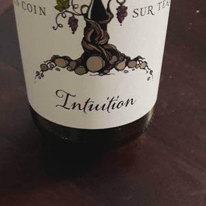Intuition - Un Coin Sur Terre - edouard-sentex