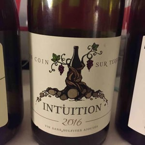 Intuition - Un Coin Sur Terre - edouard-sentex