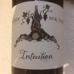 Intuition - Un Coin Sur Terre - edouard-sentex