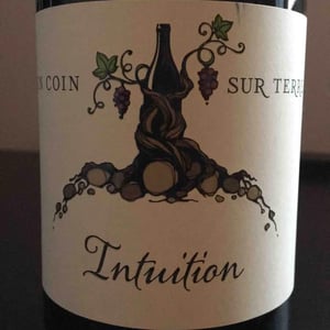 Intuition - Un Coin Sur Terre - Edouard Sentex 