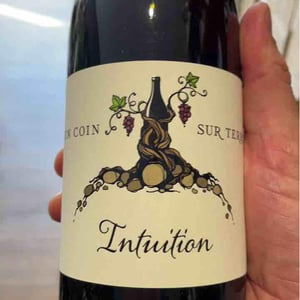 Intuition - Un Coin Sur Terre - Edouard Sentex 
