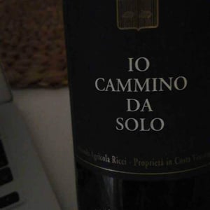Io Cammino Da Solo - Azienda Agricola Ricci Carlo Daniele - daniele-ricci