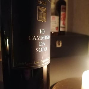 Io Cammino Da Solo - Azienda Agricola Ricci Carlo Daniele - daniele-ricci