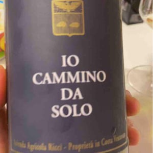 Io Cammino Da Solo - Azienda Agricola Ricci Carlo Daniele - daniele-ricci