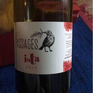 Iota - Domaine des Passages - Marie Séité 