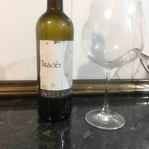 Iradei - Bodega Cauzon - Ramón Saavedra 