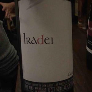 Iradei - Bodega Cauzon - Ramón Saavedra 