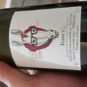 Irancy - Vini Viti Vinci - nicolas-vauthier-kikro