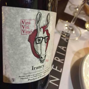 Irancy - Vini Viti Vinci - nicolas-vauthier-kikro