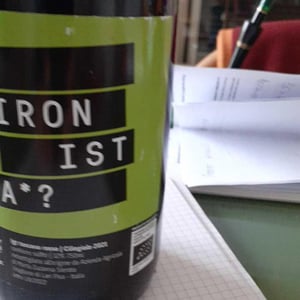 Ironista - Podere Anima Mundi - marta-sierota
