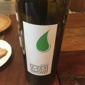 Irouléguy Blanc - Domaine Ilarria - Peio Espil 