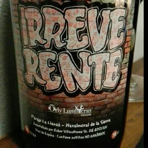 Irreverente - Orly Lumbreras Viñador - Orly Lumbreras -2019