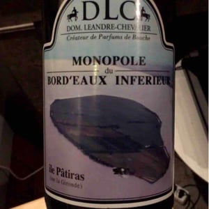 Île Pâtiras - Monopole du Bord'eaux Inferieur - Domaine Léandre-Chevalier - DLC - L'Homme-Cheval - Dominique Léandre-Chevalier & Reto Erdin 