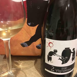 MicroBioWines - Ismael Gozalo - Isse Viñador Soñador