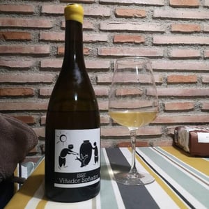 Isse Viñador Soñador - MicroBioWines - Ismael Gozalo 