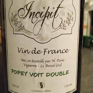 Popey voit double - Incipit - Nicolas Pavie - nicolas-pavie