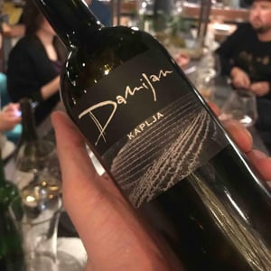 Kaplja - Damijan Podversic - Damijan Podversic 