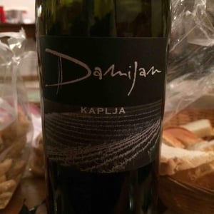 Kaplja - Damijan Podversic - damijan-podversic
