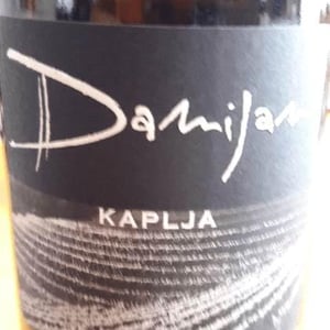 Kaplja - Damijan Podversic - Damijan Podversic 