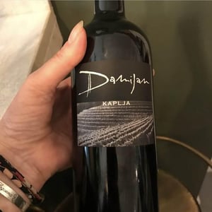 Kaplja - Damijan Podversic - damijan-podversic