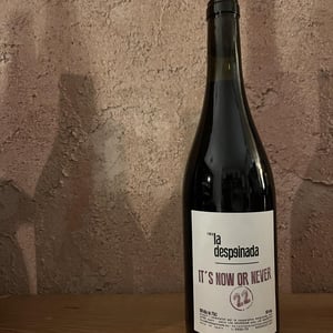 it´s now or never - Finca la Despeinada - Petra y Alex -2022