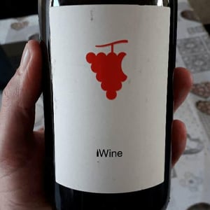 Iwine - Domaine Du Temps - lauranne-plegat-jeremy-gobert