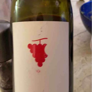Iwine - Domaine Du Temps - lauranne-plegat-jeremy-gobert