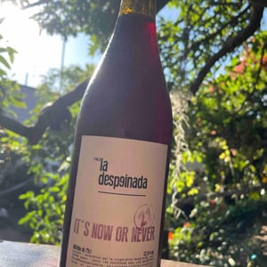 It’s Now or Never - Finca la Despeinada - petra-y-alex