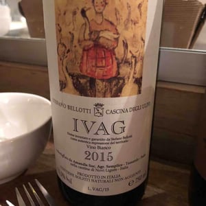 Ivag 2015