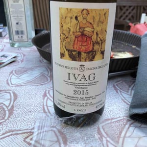 Ivag 2015