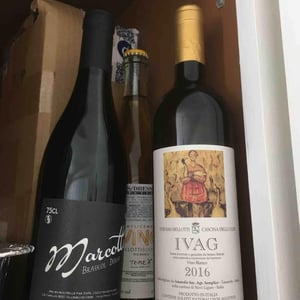 Ivag 2016