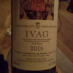 Ivag 2016