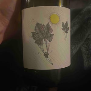 Ivre Comme L'Air - Domaine Eole - herve-bessiere