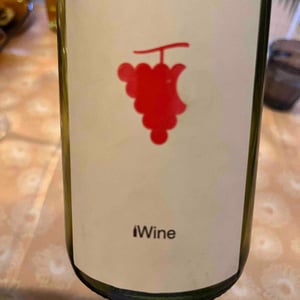 Iwine - Domaine Du Temps - lauranne-plegat-jeremy-gobert